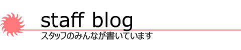 スタッフブログ